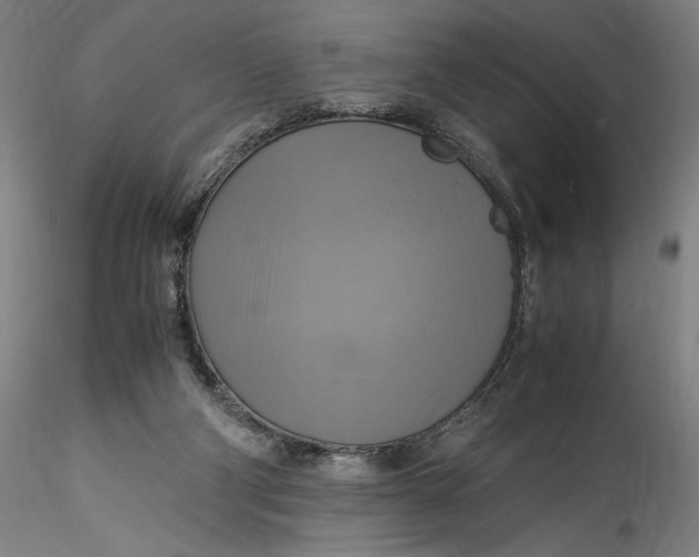 X0000115560114200911271506