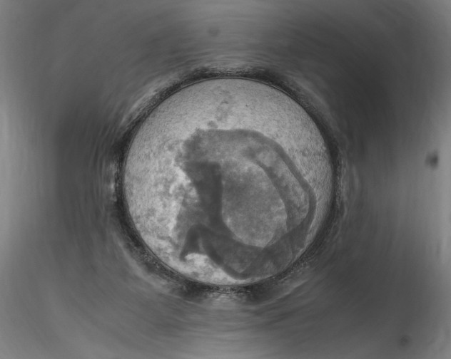 X0000115560115200911271506