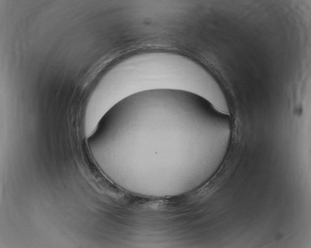 X0000115560116200911271506