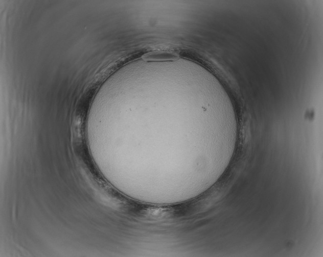 X0000115560117200911271506