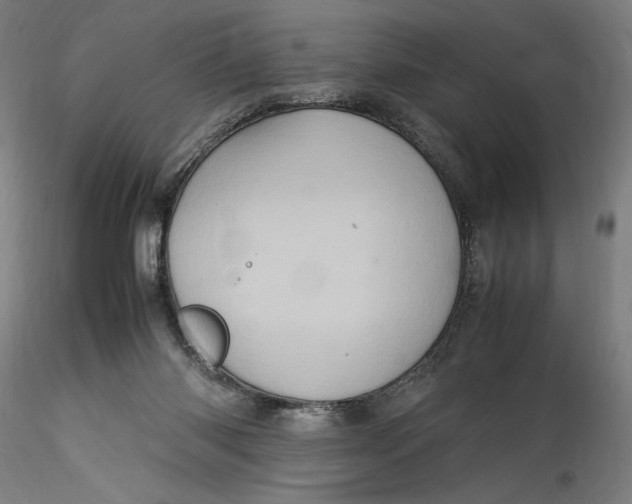 X0000115560118200911271506