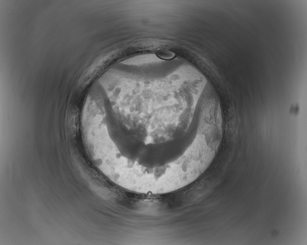 X0000115560119200911271506