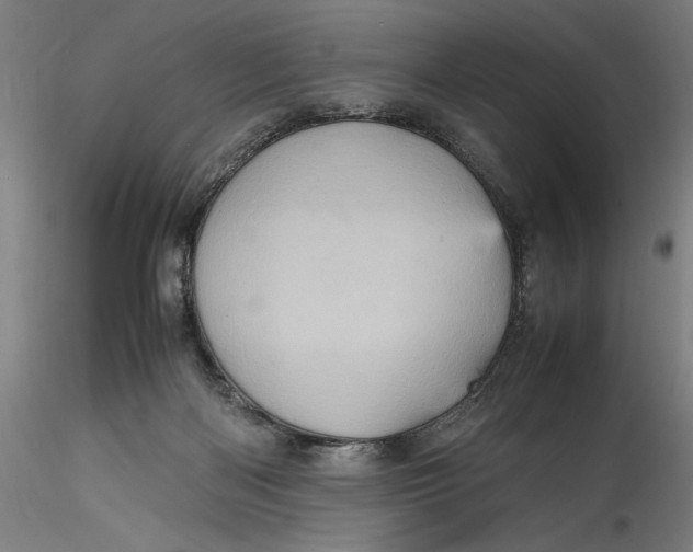 X0000115560122200911271506