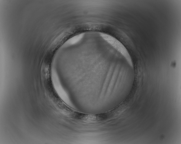 X0000115560123200911271506