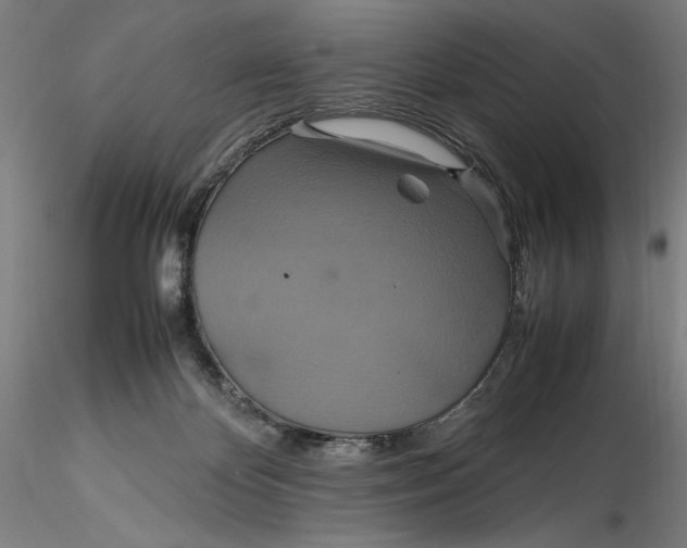 X0000115560124200911271506