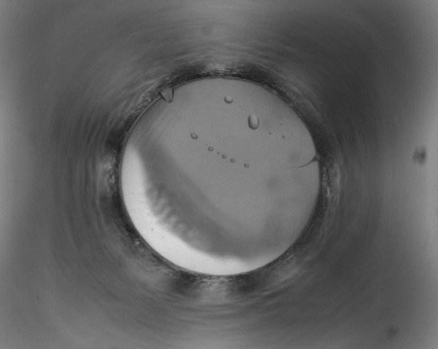 X0000115560127200911271506