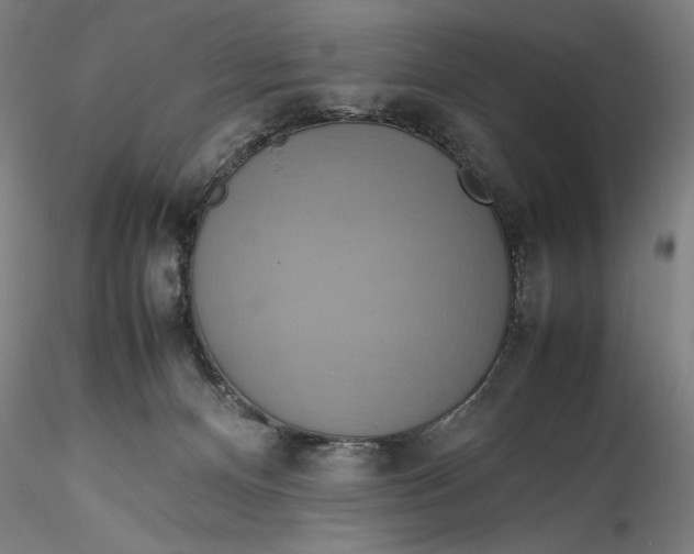 X0000115560128200911271506