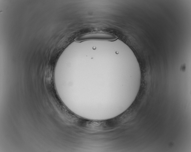 X0000115560129200911271506