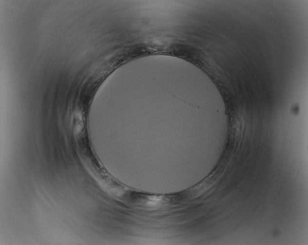 X0000115560130200911271506