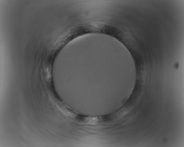 X0000115560131200911271506