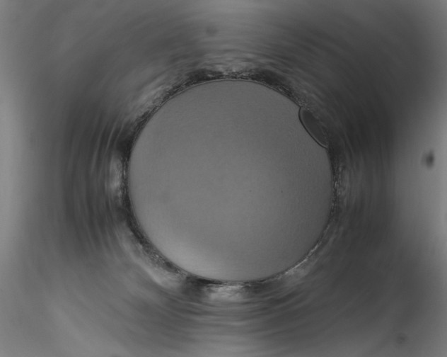 X0000115560132200911271506