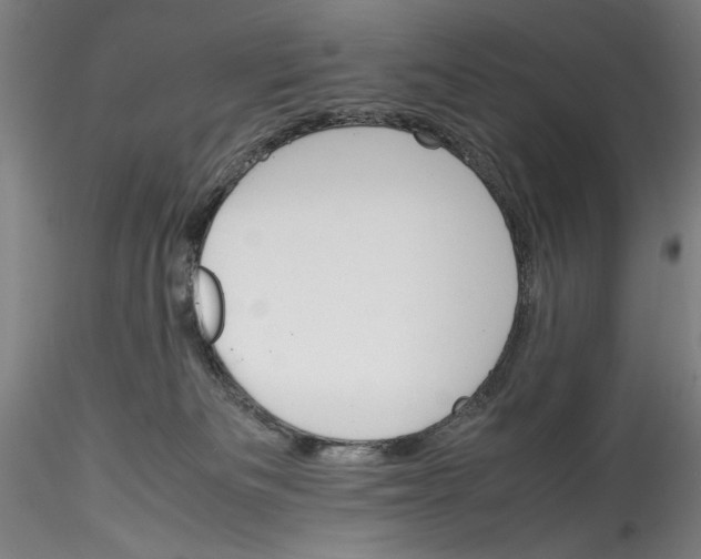 X0000115560133200911271506