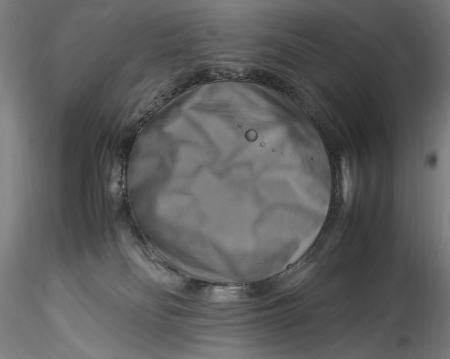 X0000115560134200911271505