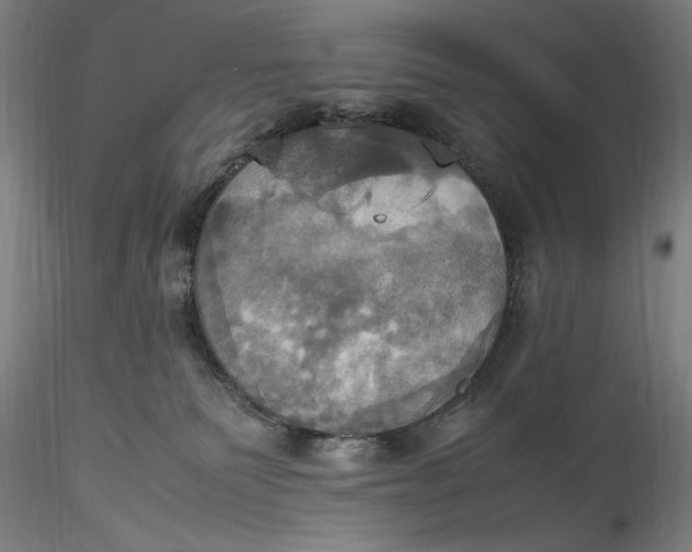 X0000115560135200911271505