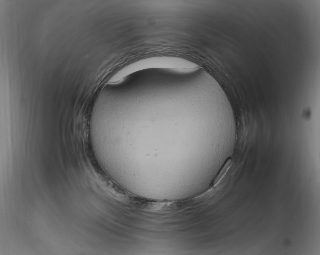 X0000115560136200911271505