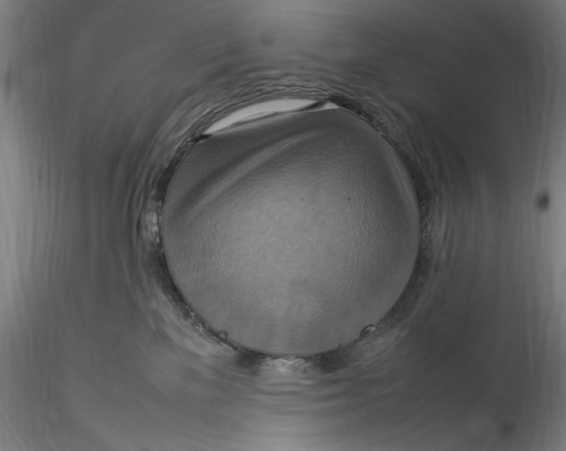 X0000115560137200911271505