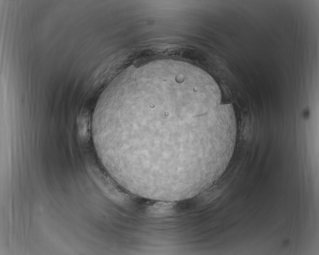 X0000115560138200911271505