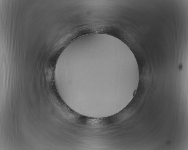 X0000115560139200911271505