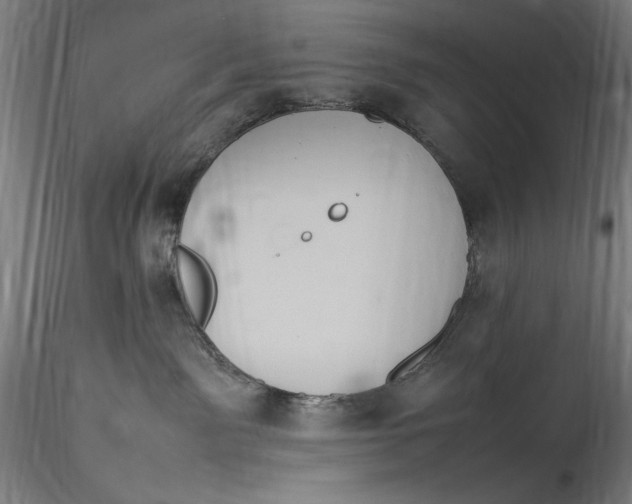 X0000115560141200911271505