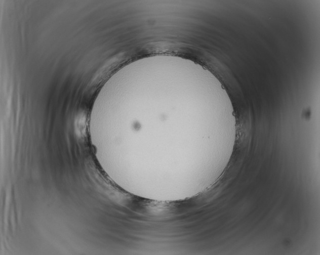 X0000115560142200911271505