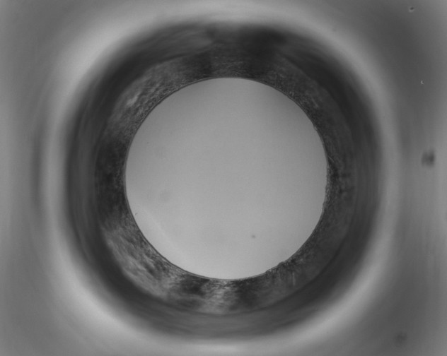 X0000115560143200911271505