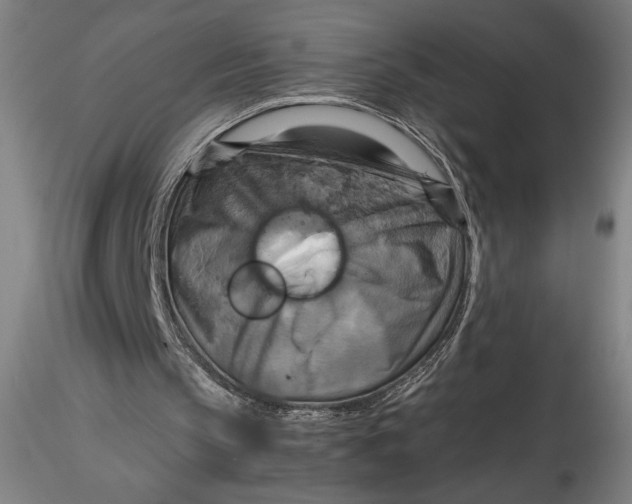 X0000115560145200911271505