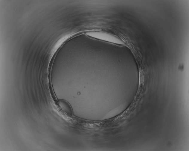 X0000115560147200911271505