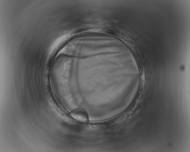 X0000115560149200911271505