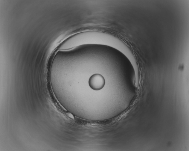 X0000115560150200911271505