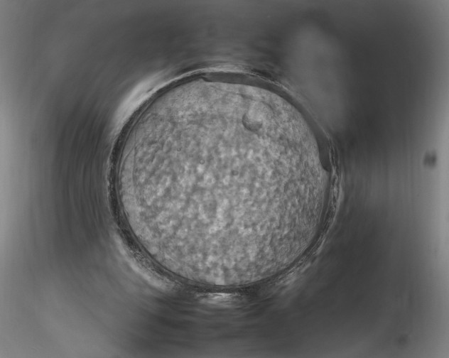 X0000115560151200911271505