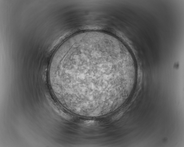 X0000115560153200911271505