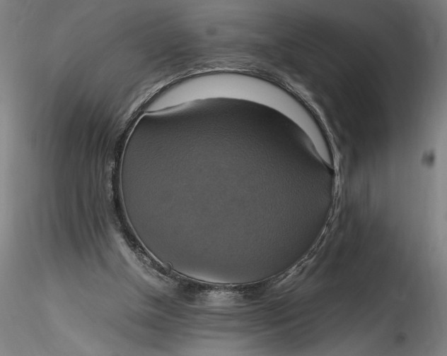 X0000115560154200911271505