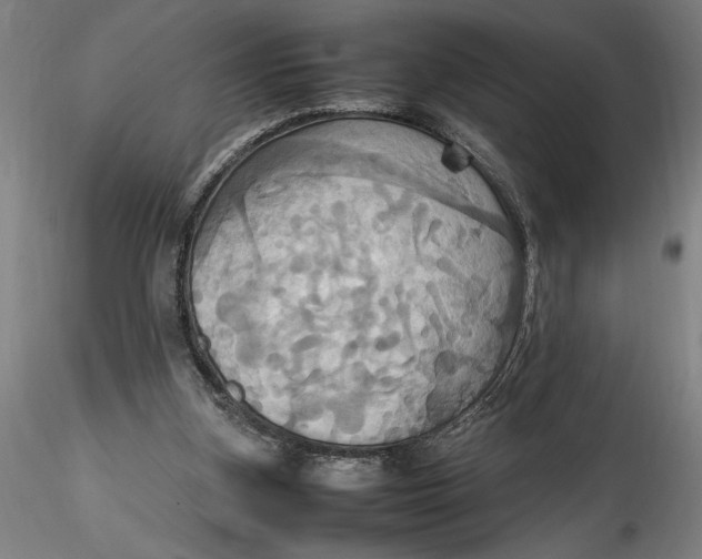 X0000115560155200911271505