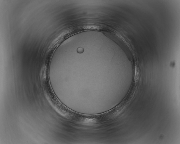 X0000115560157200911271505