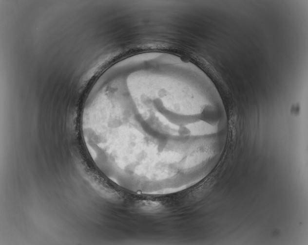 X0000115560159200911271505