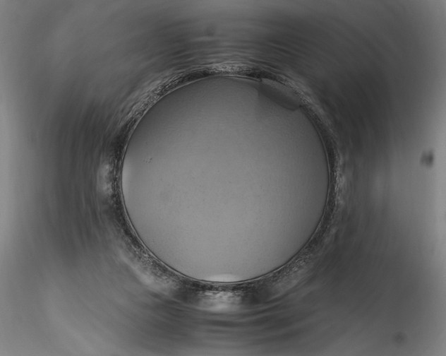 X0000115560161200911271505