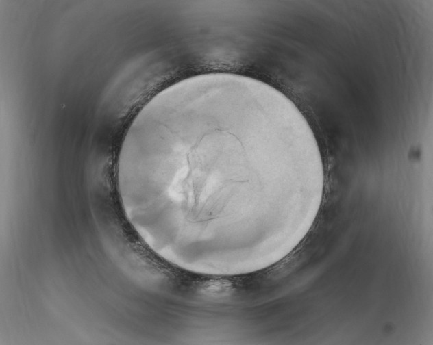 X0000115560162200911271505