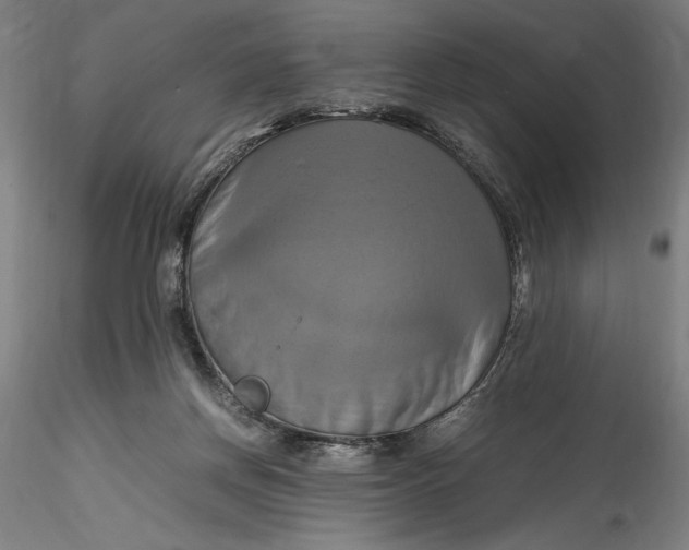 X0000115560166200911271505