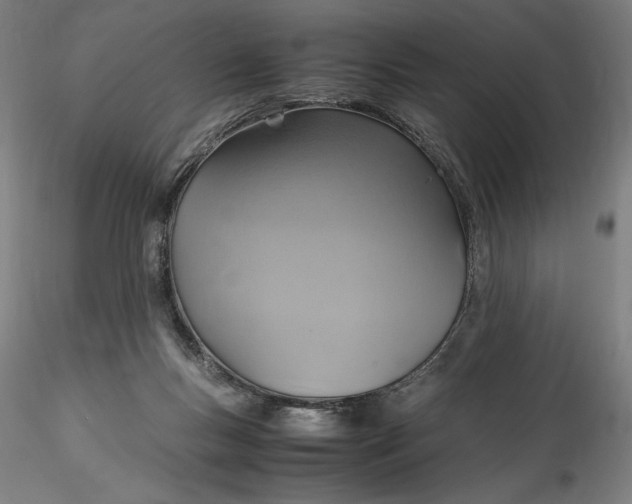 X0000115560167200911271505