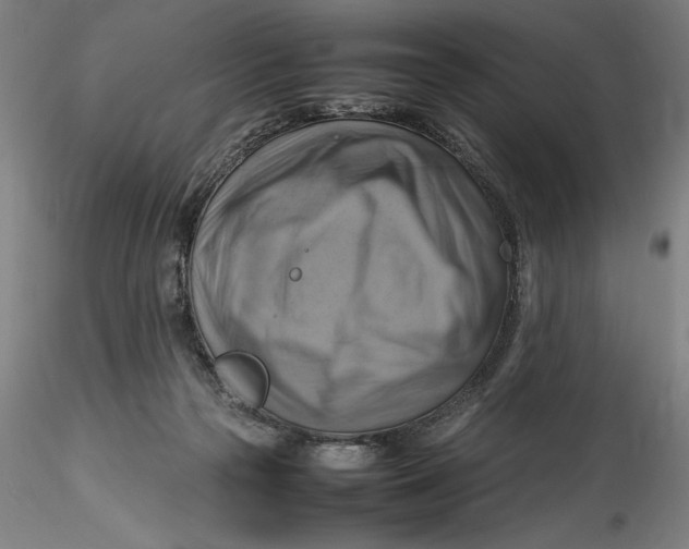 X0000115560169200911271505