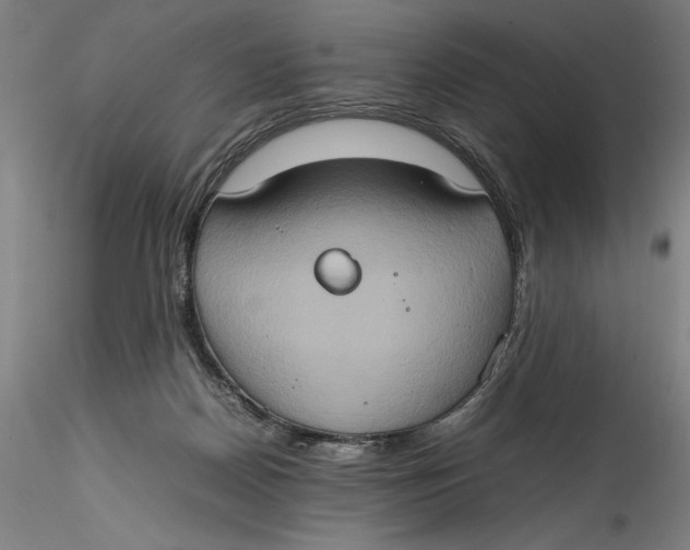 X0000115560170200911271505