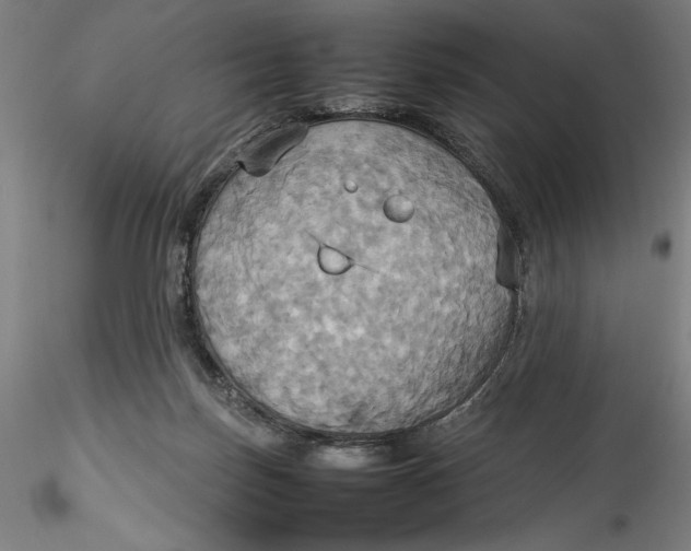 X0000115560171200911271505