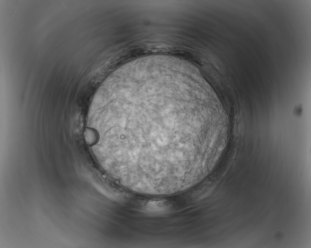 X0000115560173200911271505