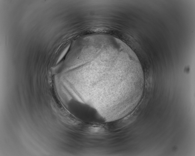 X0000115560175200911271505