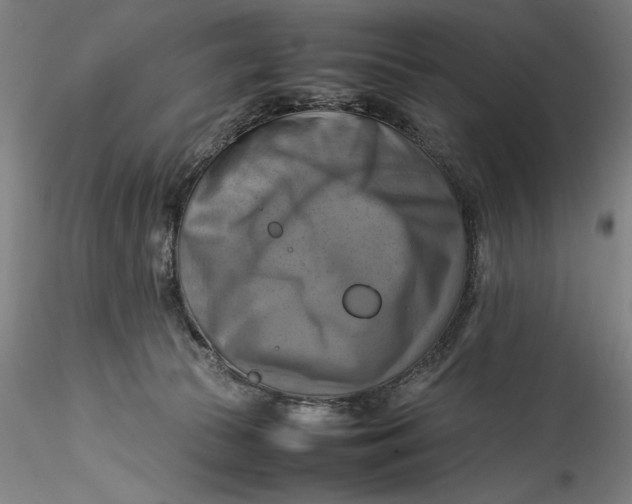 X0000115560177200911271505