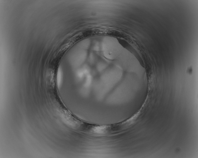 X0000115560178200911271505