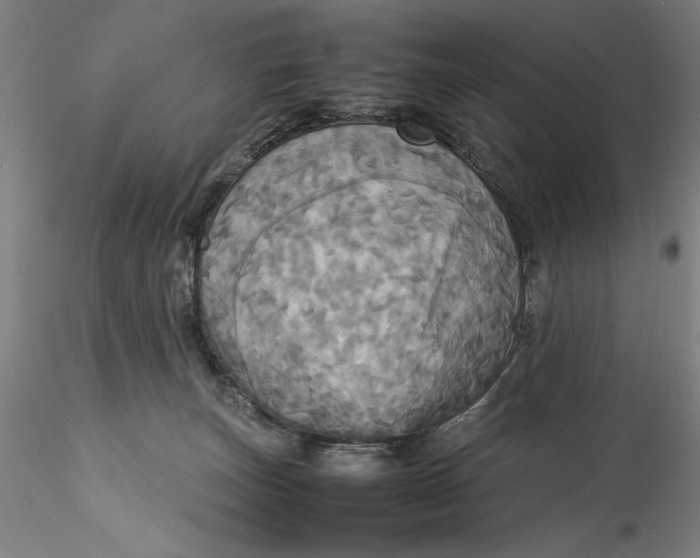 X0000115560179200911271505