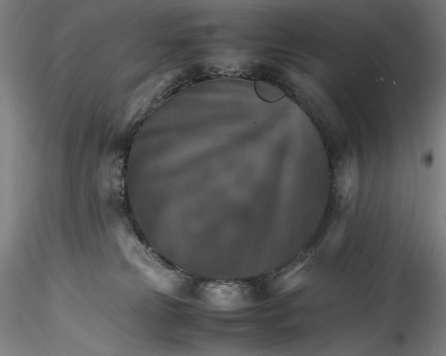 X0000115560181200911271505