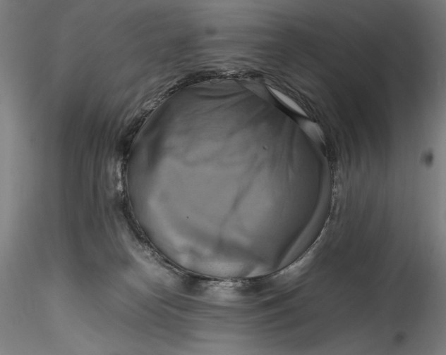 X0000115560182200911271505