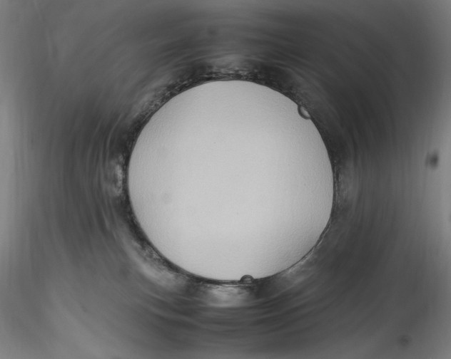 X0000115560183200911271505